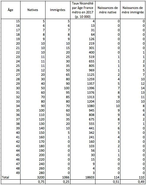 Feuille de calcul des naissances à partir d'une répartition par âge fictive des natives et des immigrées et des taux de fécondité par âge en France métropolitaine en 2017 mis en ligne sur le site de l'Insee