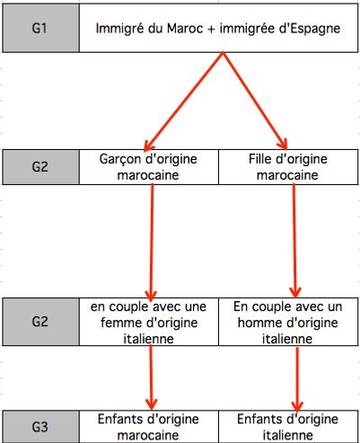 Descendance d’un couple formé d’un homme immigré du Maroc et d’une femme immigrée d’Espagne si l’origine est déterminée par le père.
Note de lecture : Ce couple a un garçon et une fille, tous deux d’origine marocaine. Ceux-ci fréquentent les enfants des voisins venus d’Italie avec lesquels ils se marieront. Les enfants du garçon seront d’origine marocaine et ceux de la fille d’origine italienne.
